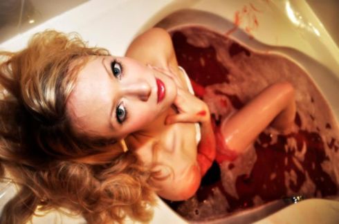 Lianne Spiderbaby, Plagiarist